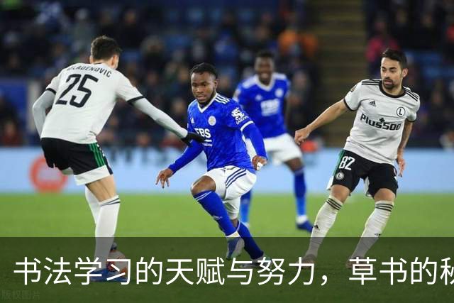 书法学习的天赋与努力，草书的秘密在于哪一面？